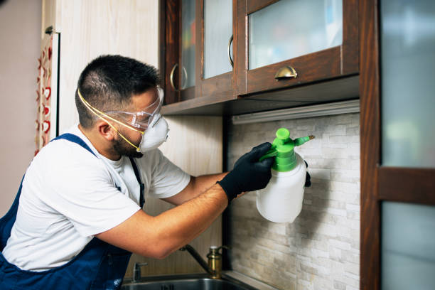 Pest Prevention Services in Palmetto, FL