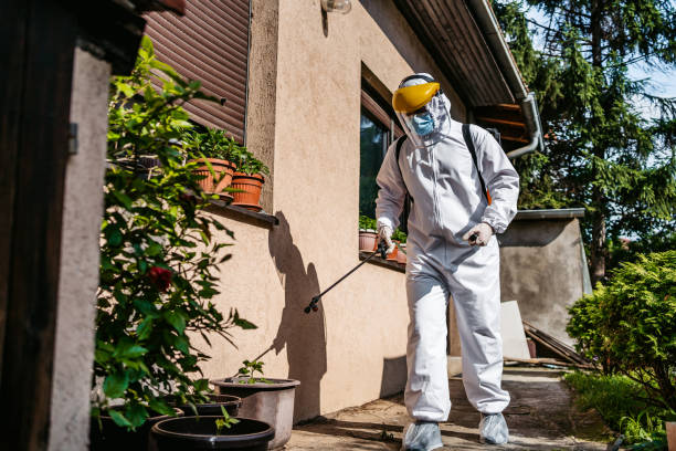 Best Best Pest Control Companies  in Palmetto, FL