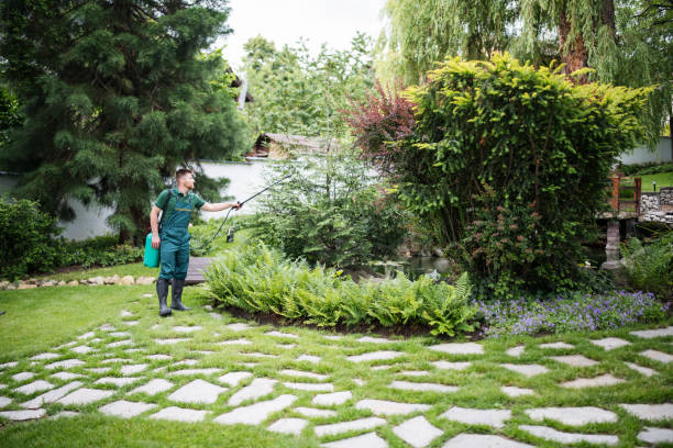 Best Pest Control Near Me in Palmetto, FL