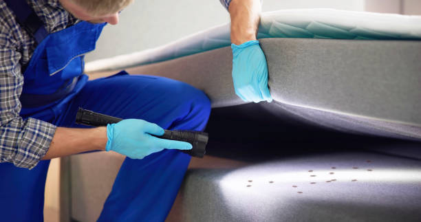 Best Affordable Pest Control Services  in Palmetto, FL